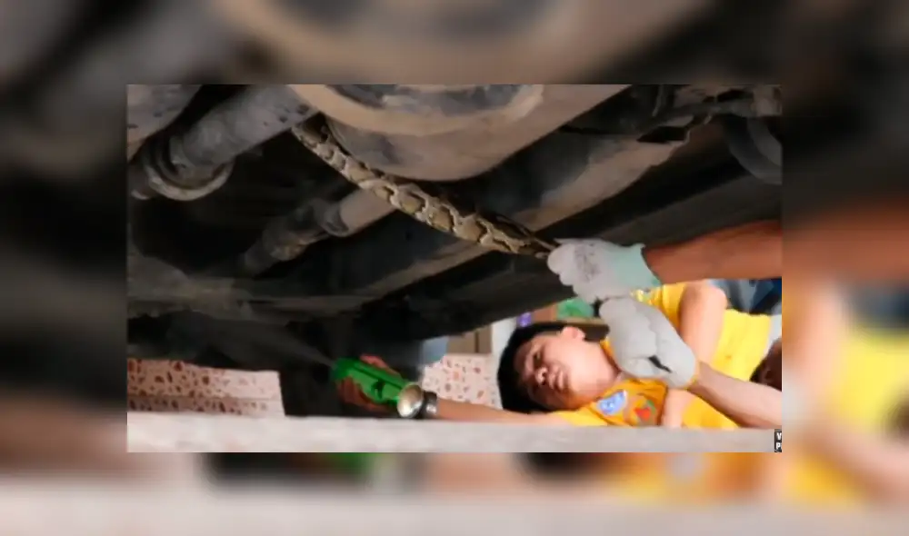 Facebook viral: gigantesca serpiente fue hallada dentro de auto malogrado por mecánicos [VIDEO]