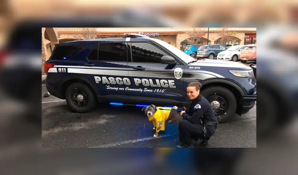 Fue encontrado por un policía, y una mujer decidió adoptarlo. Pensó que regalarle un día como miembro de la policía sería la mejor idea. (Foto: Facebook) Fue encontrado por un policía, y una mujer decidió adoptarlo. Pensó que regalarle un día como miembro de la policía sería la mejor idea. (Foto: Facebook)