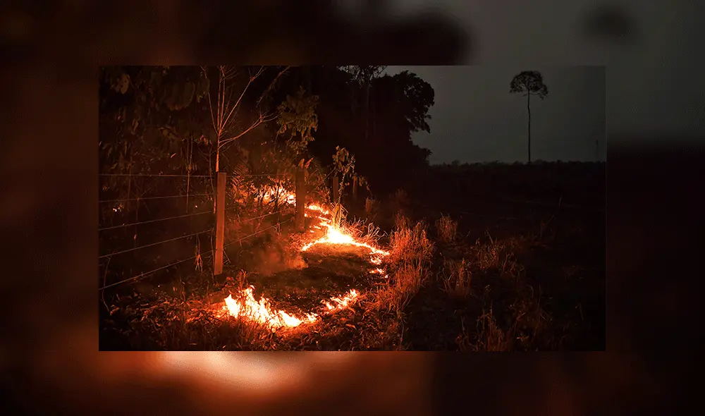 Justin Trudeau anuncia envío de ayuda para combatir incendios en la amazonía. Foto: AFP Justin Trudeau anuncia envío de ayuda para combatir incendios en la amazonía. Foto: AFP