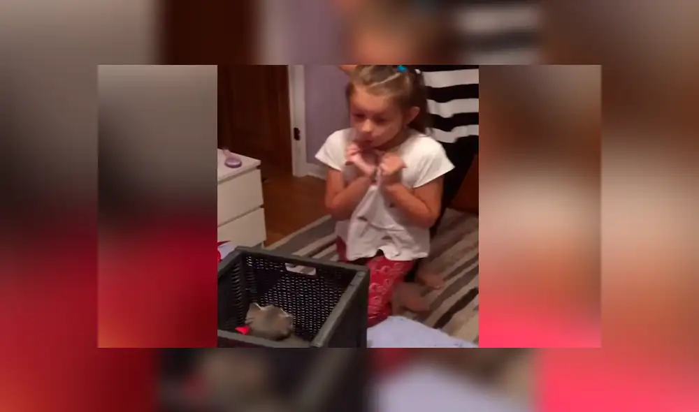 Un emotivo video muestra el tierno regalo que unos padres le hicieron a su hija por su cumpleaños. Un emotivo video muestra el tierno regalo que unos padres le hicieron a su hija por su cumpleaños.