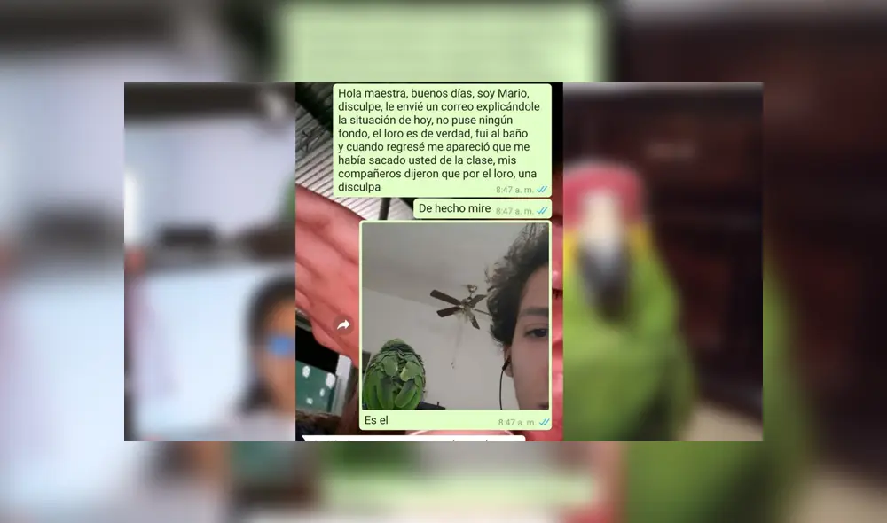 Desliza para conocer los detalles de esta historia que se viralizó en YouTube. Foto: Captura.