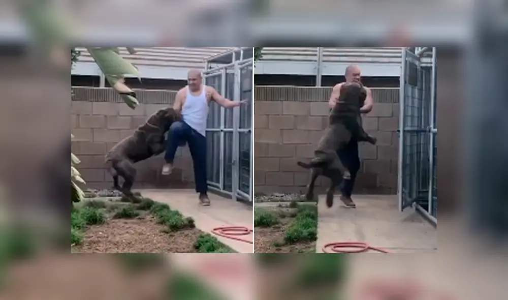 Desliza para ver todas las imágenes compartidas en Facebook. Foto: captura