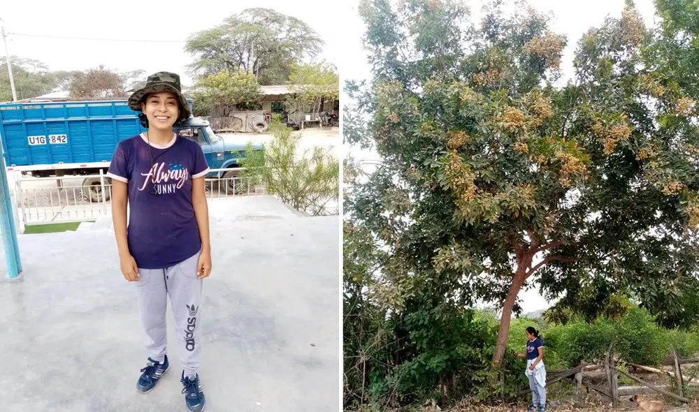 La estudiante explica que el Sapindus saponaria es usado como jabón natural para lavar la ropa. Foto: Pronabec La estudiante explica que el Sapindus saponaria es usado como jabón natural para lavar la ropa. Foto: Pronabec