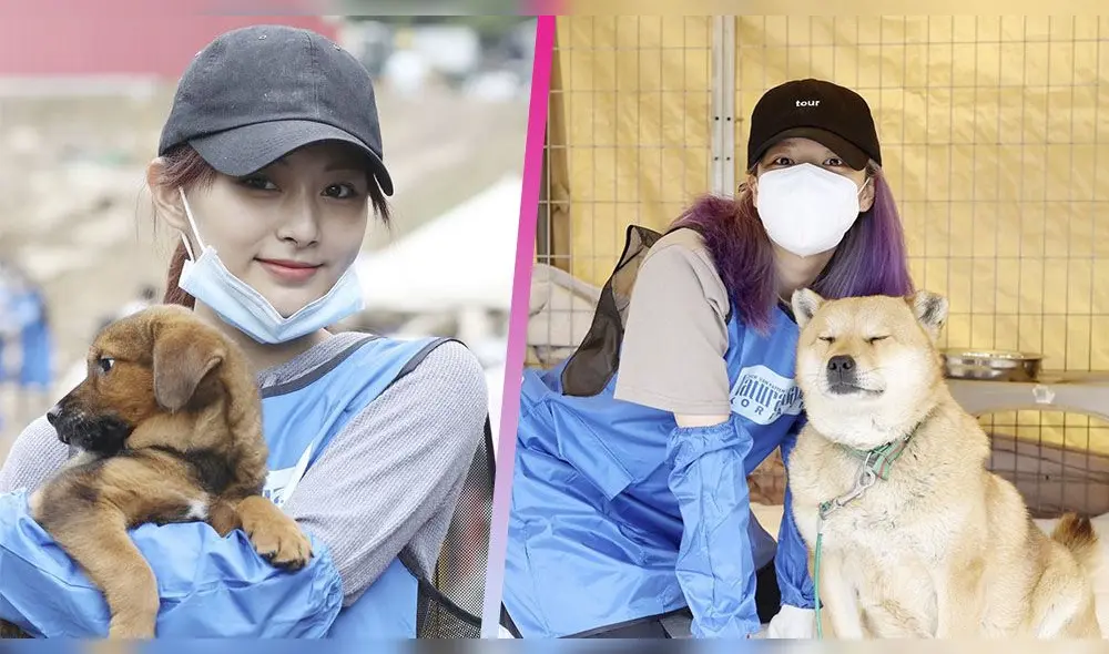 TWICE Jeongyeon Tzuyu