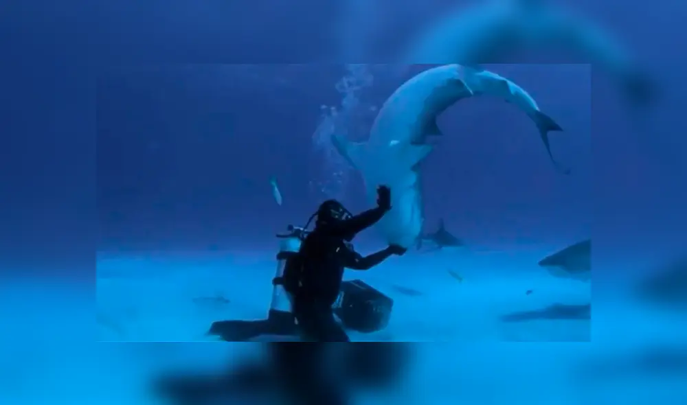 Desliza la imagen de YouTube para verlas todas. Foto: captura