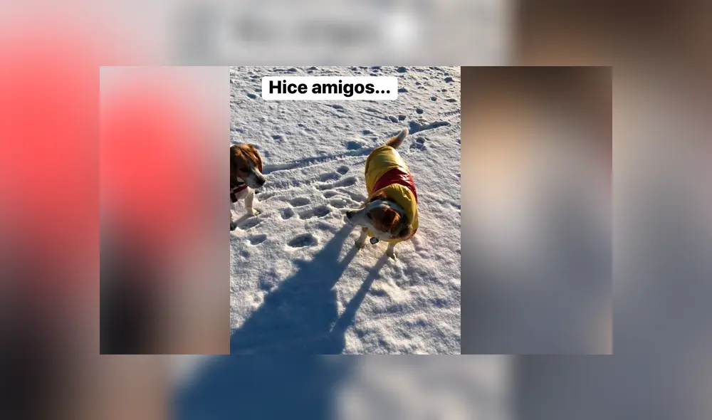 Desliza para ver los detalles de esta historia que conmovió a todos en Facebook. Foto: Captura. Desliza para ver los detalles de esta historia que conmovió a todos en Facebook. Foto: Captura.