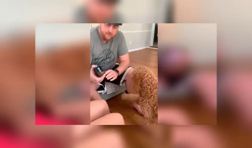 Desliza las imágenes para ver la emotiva reacción que tuvo un perro al escuchar la voz de sus dueños quienes fueron puestos en cuarentena. Foto: RM Videos Desliza las imágenes para ver la emotiva reacción que tuvo un perro al escuchar la voz de sus dueños quienes fueron puestos en cuarentena. Foto: RM Videos
