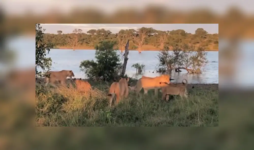 Desliza hacia la izquierda para ver las imágenes del viral de Facebook. Desliza hacia la izquierda para ver las imágenes del viral de Facebook.