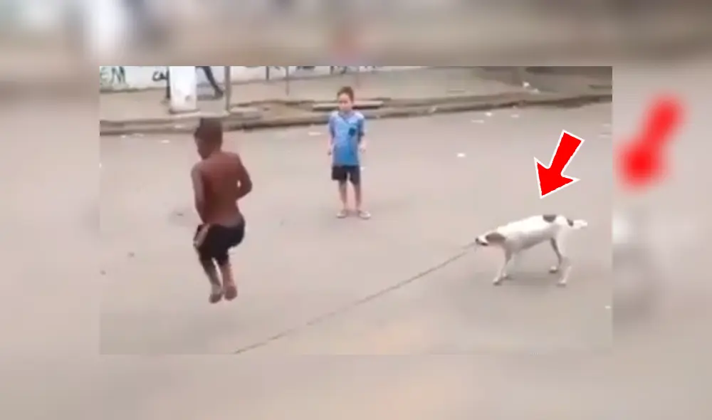 Facebook viral: perro ayuda a niños para que jueguen a saltar la cuerda en la calle Facebook viral: perro ayuda a niños para que jueguen a saltar la cuerda en la calle