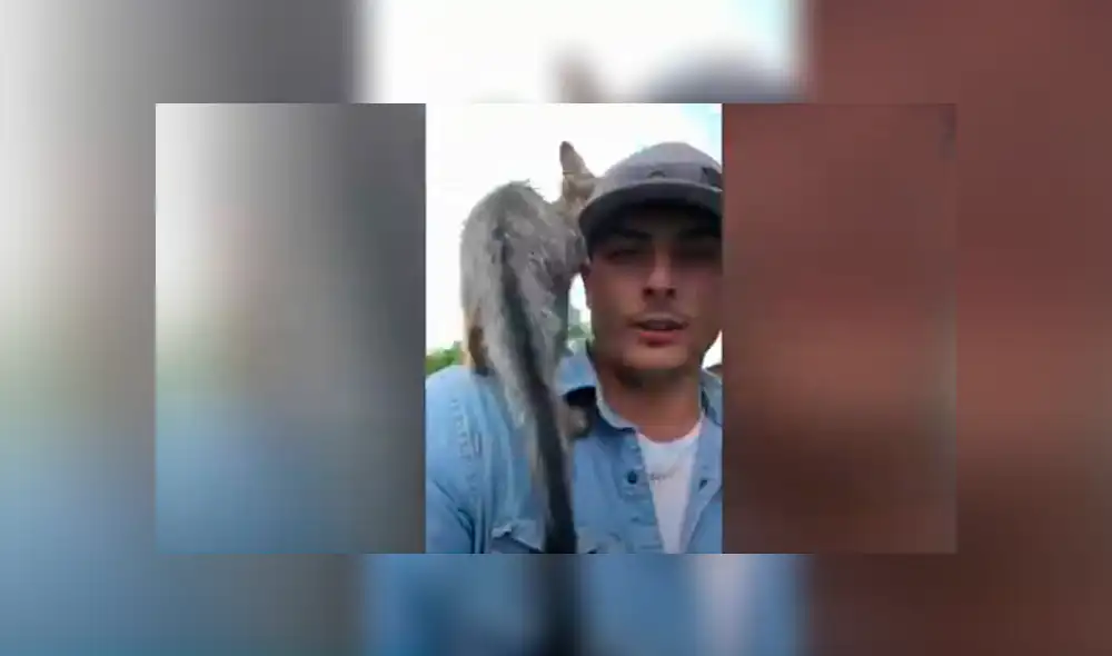 Desliza las imágenes para conocer la verdadera raza de un animal que fue rescatado por un joven. Foto: Caters Clips. Desliza las imágenes para conocer la verdadera raza de un animal que fue rescatado por un joven. Foto: Caters Clips.