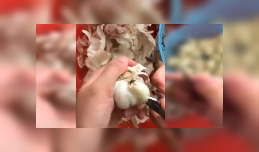 Facebook viral: joven enseña truco para pelar ajos en segundos y asombra a miles [VIDEO]
