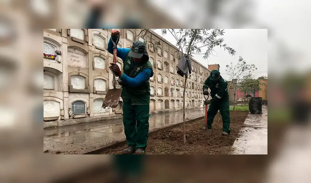 Recuperarán áreas verdes del Museo Cementerio Presbítero Maestro [FOTOS]