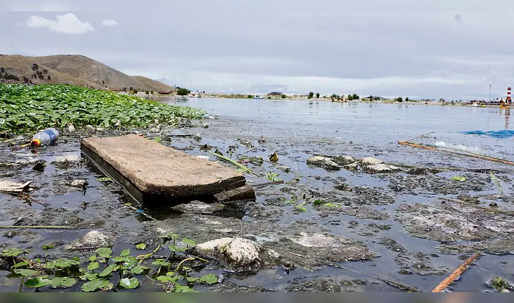Costanera Sur camino a ser foco de contaminación en el lago Titicaca