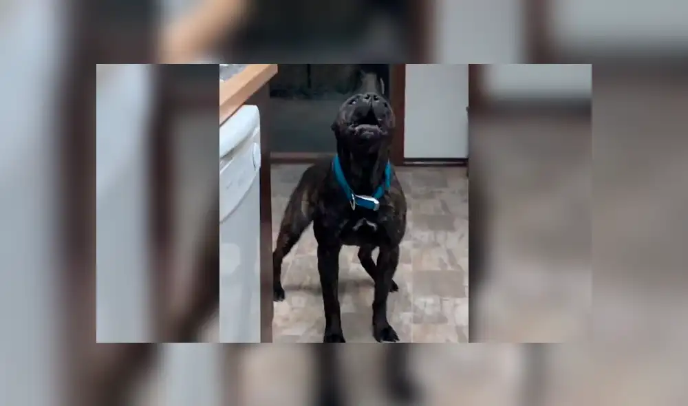 Desliza la imagen de YouTube para verlas todas. Desliza la imagen de YouTube para verlas todas.