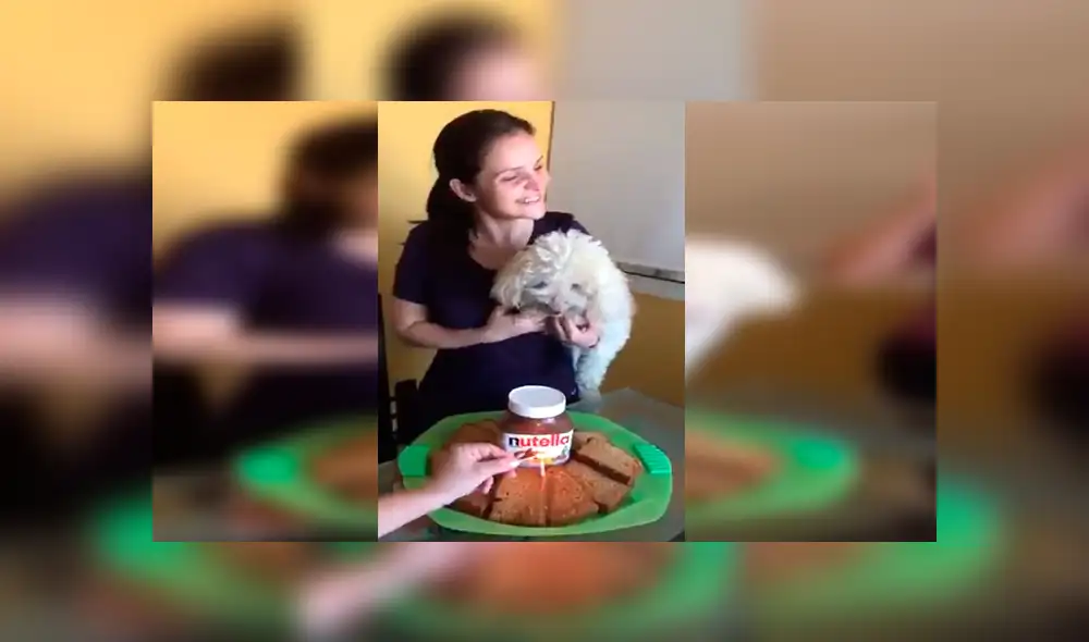 En Facebook, los miembros de una familia decidieron celebrar el cumpleaños de su mascota con una curiosa fiesta. En Facebook, los miembros de una familia decidieron celebrar el cumpleaños de su mascota con una curiosa fiesta.