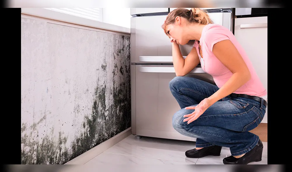 Invierno: Como proteger tu casa de la humedad Invierno: Como proteger tu casa de la humedad