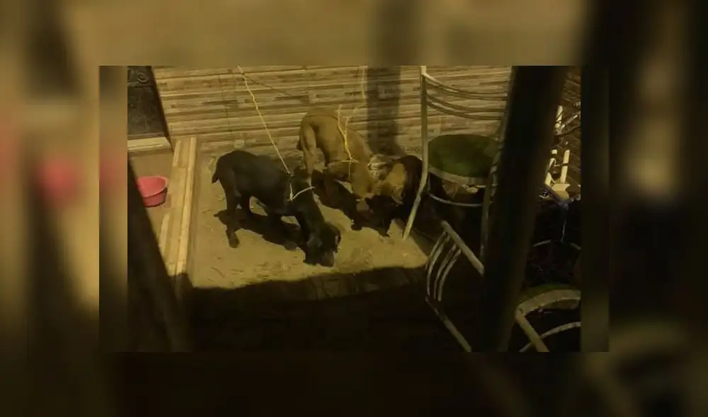 Foto: Facebook Foto: Facebook