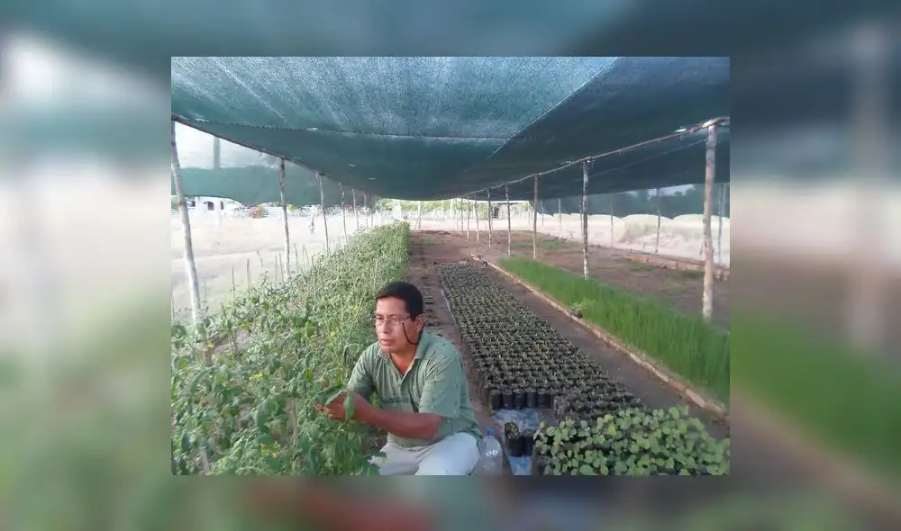 Todos por Hugo, el guardián de los bosques 