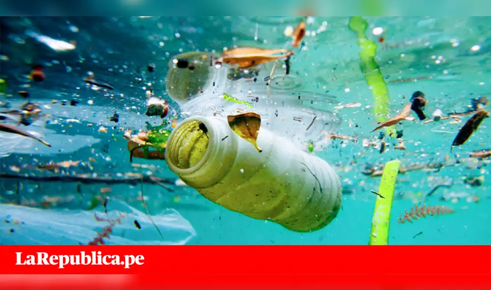 Congreso programa debate de proyecto que busca reducir uso de bolsas plásticas