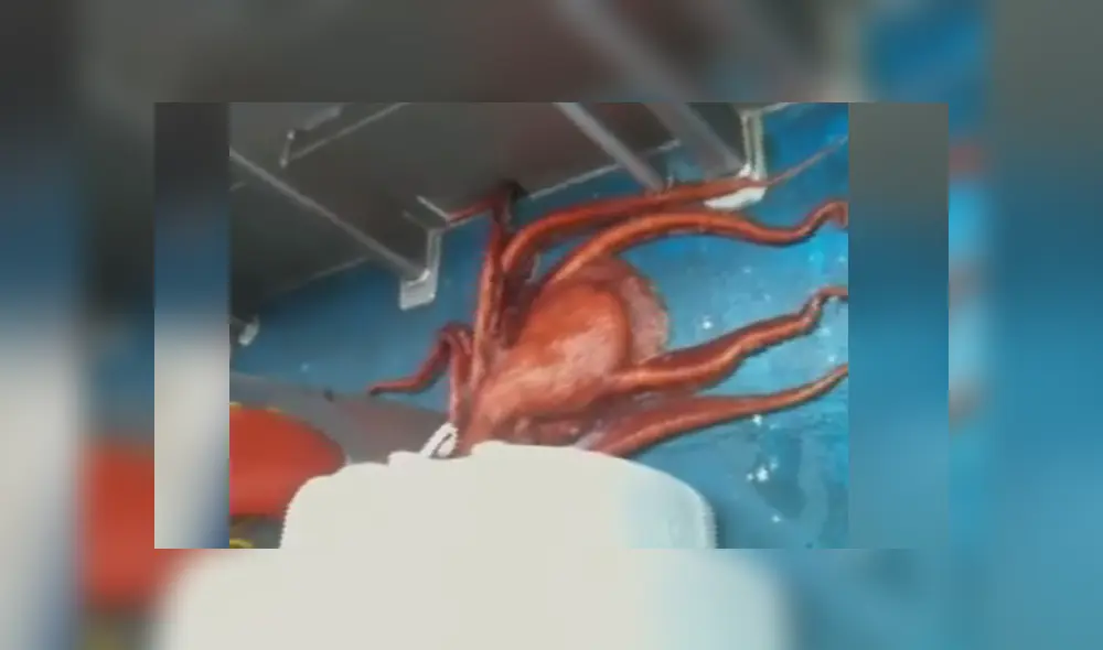 Desliza para ver el video viral publicado en YouTube. Foto: Captura. Desliza para ver el video viral publicado en YouTube. Foto: Captura.