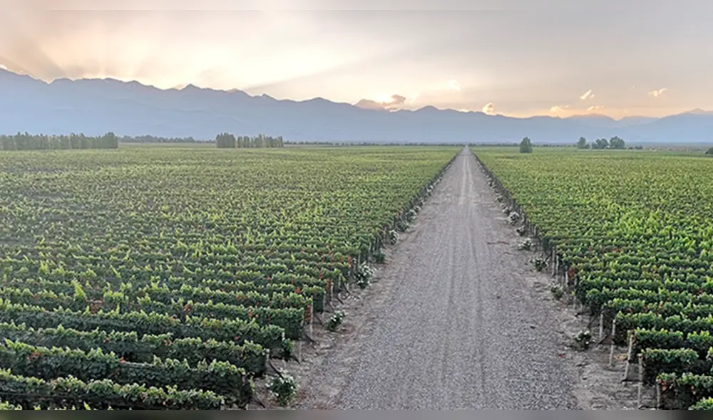 Producción del norte es muy importante.