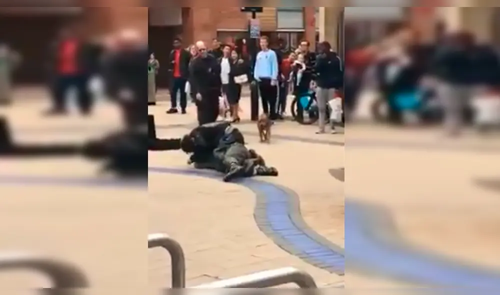 Facebook Viral: Captan a perro irrumpiendo pelea de ebrios de forma insólita