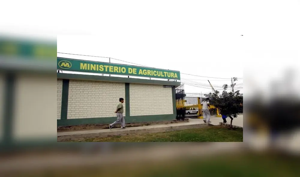 Aprueban requisitos sanitarios para importación de abono de origen avícola procedente de los Países Bajos 