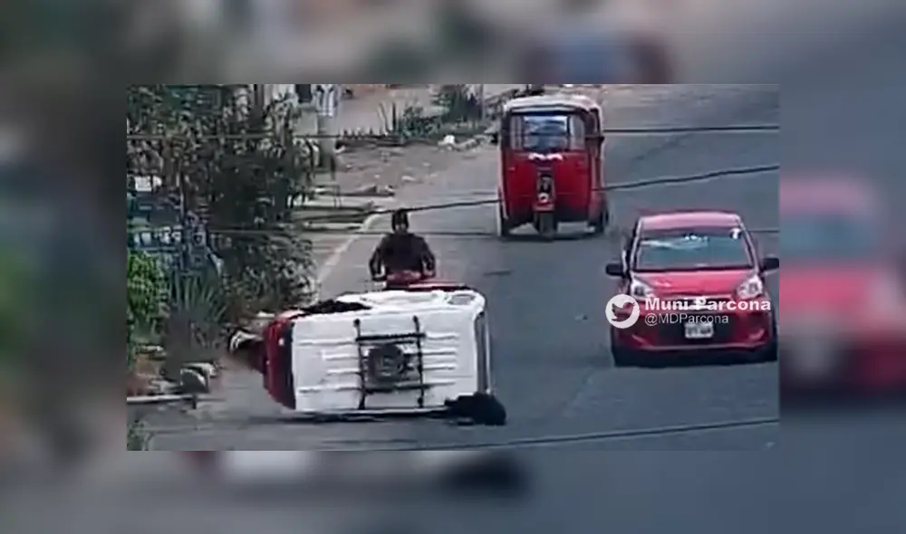 Perro se metió a una transitada avenida por seguir a manada y chocó de forma abrupta contra mototaxi ocasionando que se volteara Perro se metió a una transitada avenida por seguir a manada y chocó de forma abrupta contra mototaxi ocasionando que se volteara