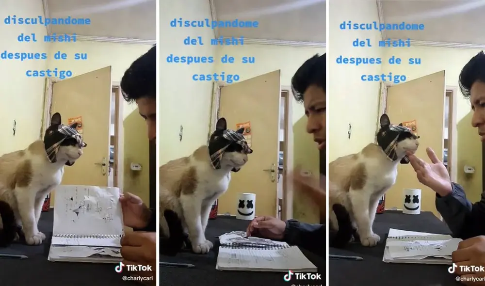 El video ha sumado más de un millón y medio de visualizaciones en TikTok. Foto: composición LR/captura de TikTok/@chavoycharly El video ha sumado más de un millón y medio de visualizaciones en TikTok. Foto: composición LR/captura de TikTok/@chavoycharly