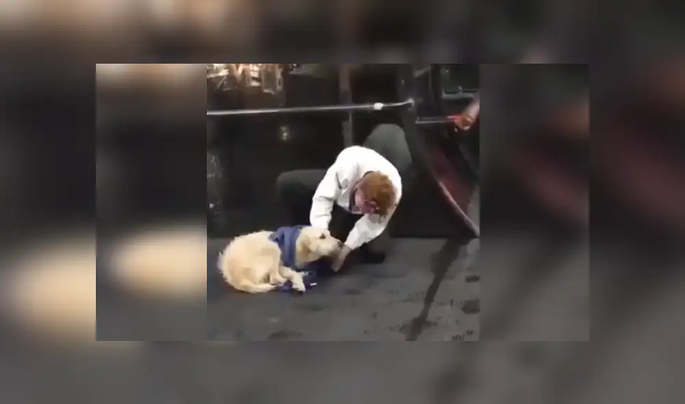 Desliza las imágenes para ver más detalles de este noble gesto que conmovió las redes sociales. (Foto: captura / Twitter) Desliza las imágenes para ver más detalles de este noble gesto que conmovió las redes sociales. (Foto: captura / Twitter)