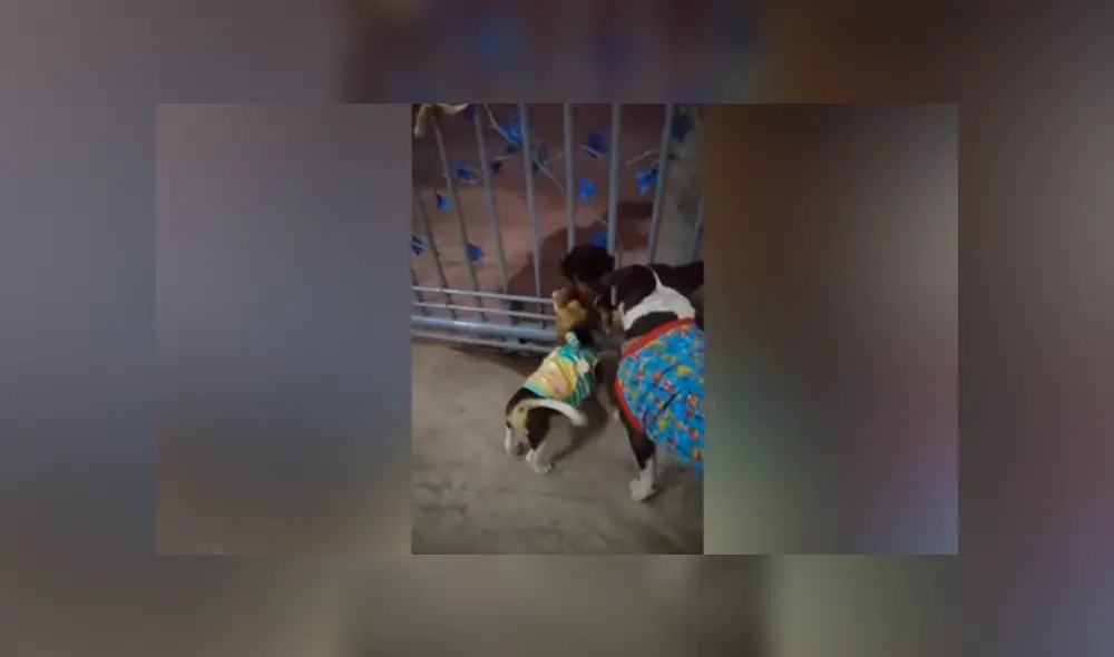 Desliza hacia la izquierda para ver el conmovedor reencuentro publicado en Facebook.