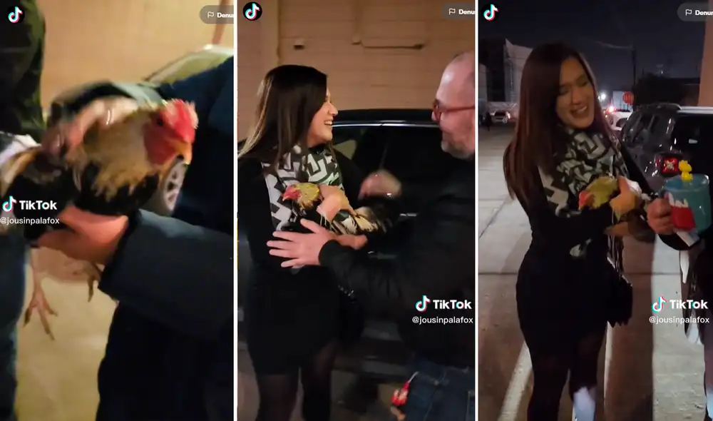 Las imágenes han superado los 2 millones de reproducciones en redes sociales. Foto: composición de LR/ captura de TikTok/@Jousinpalafox Las imágenes han superado los 2 millones de reproducciones en redes sociales. Foto: composición de LR/ captura de TikTok/@Jousinpalafox