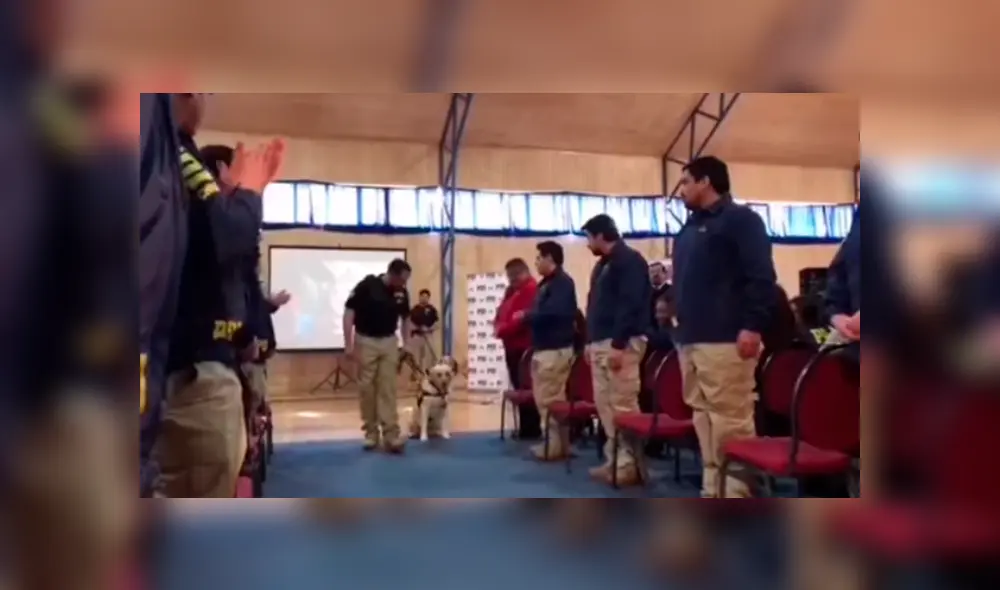 En YouTube, un grupo de policías realizó una conmovedora despedida a un perro que trabajo durante seis años. En YouTube, un grupo de policías realizó una conmovedora despedida a un perro que trabajo durante seis años.