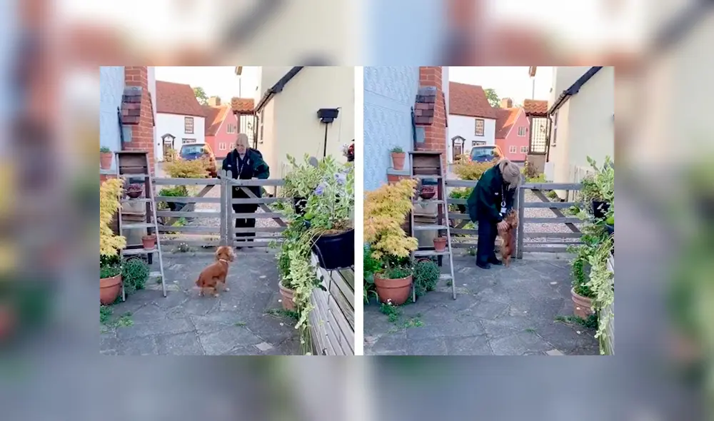 Desliza las imágenes para apreciar la conmovedora que protagonizó una enfermera junto a su mascota.