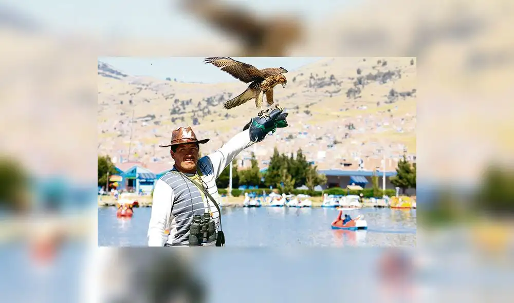 Wilfredo Cruz, el Adiestrador de Águilas Wilfredo Cruz, el Adiestrador de Águilas