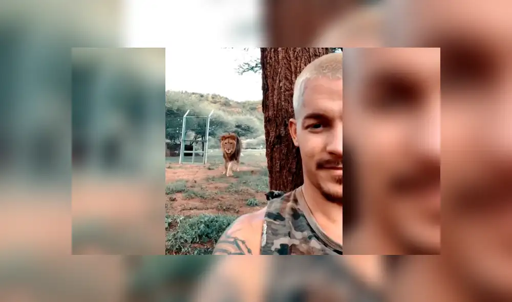 Facebook viral: joven ingresa a santuario de león para tomarse ‘selfie’, sin imaginar efusiva reacción del depredador
