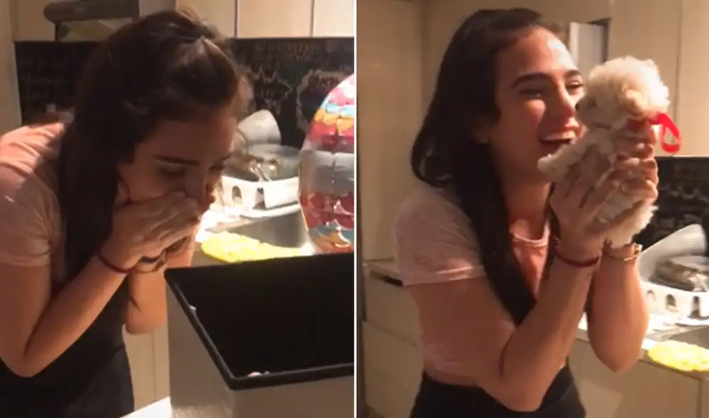 Desliza para ver más imágenes de esta tierna escena en la que una joven recibe a su primera mascota. Foto: captura de TikTok