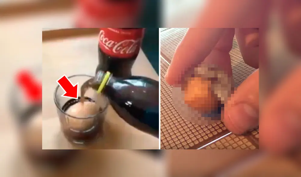 YouTube viral: joven experimenta colocando un huevo dentro de vaso con Coca Cola por un año [VIDEO] 