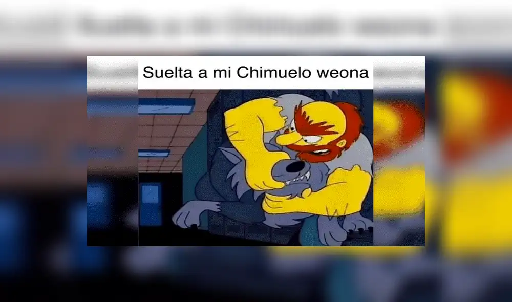 Facebook viral: Renato Barrera, dueño de 'Chimuelo', revela la razón por la que murió su periquito [VIDEO] 