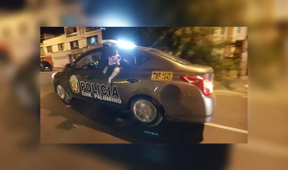 Manchas recorre las calles del Cercado de Lima. Créditos: URPI-GLR. Manchas recorre las calles del Cercado de Lima. Créditos: URPI-GLR.