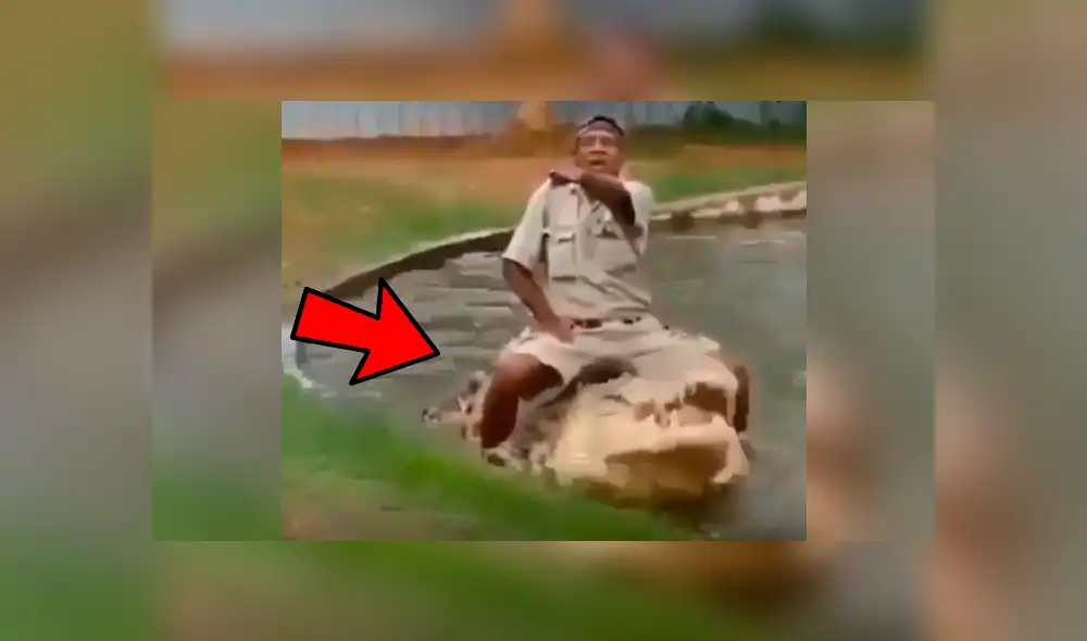 YouTube viral: Hombre se sube encima de cocodrilo para alimentarlo y ocurre algo impensado [VIDEO] 
