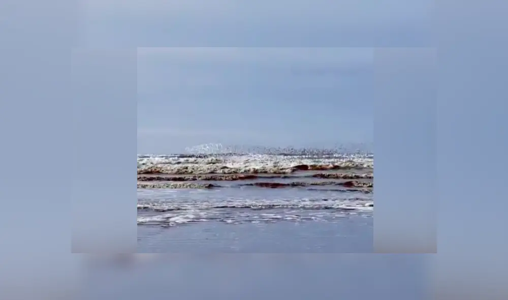 YouTube viral: capta extraña ‘mancha’ que se mueve en el cielo, hace zoom y descubre algo maravilloso [VIDEO]