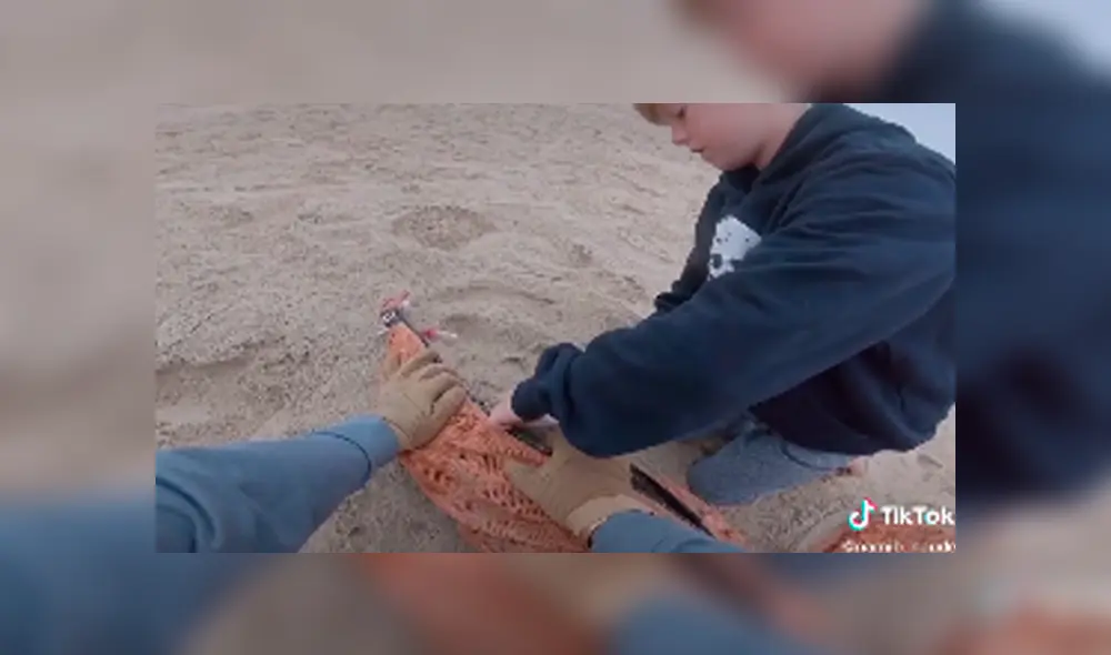 El hombre y su hijo salvaron de la muerte a un lobo marino, que tenía enredados desperdicios en su cuerpo. Foto: captura. El hombre y su hijo salvaron de la muerte a un lobo marino, que tenía enredados desperdicios en su cuerpo. Foto: captura.