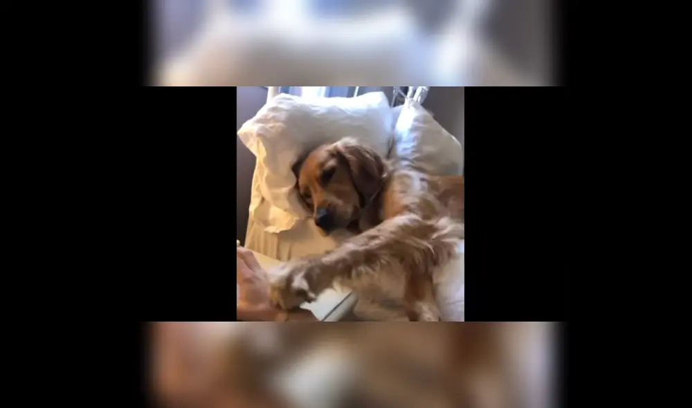 Desliza hacia la izquierda para ver más del video viral