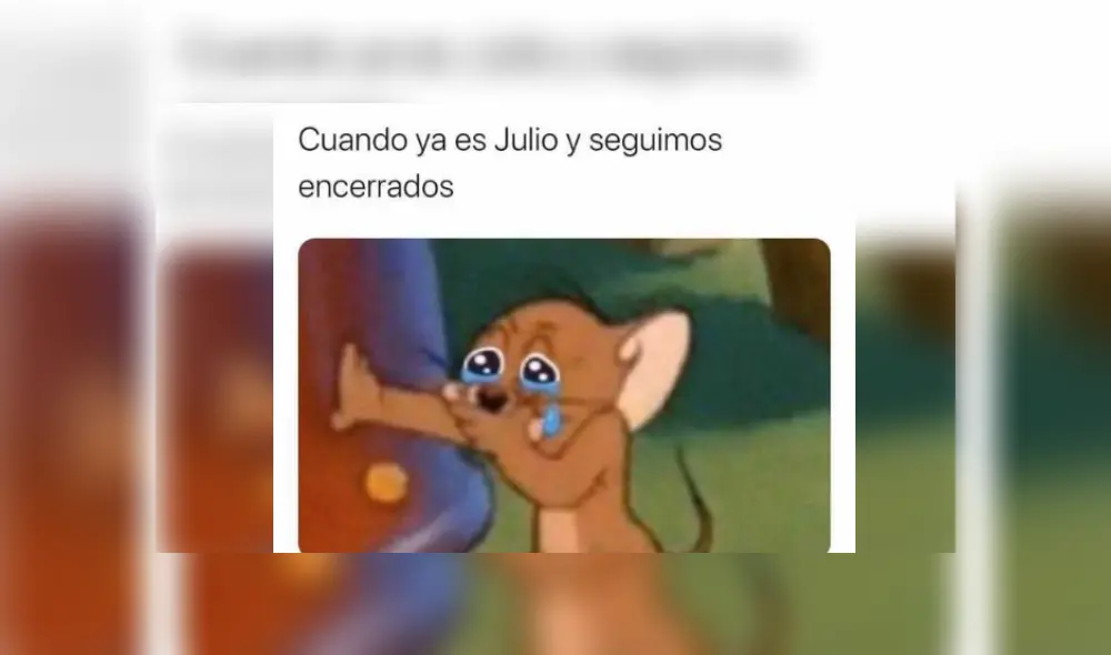 Desliza las imágenes para ver los más divertidos memes de Jerry. Desliza las imágenes para ver los más divertidos memes de Jerry.