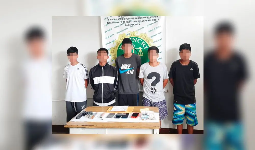 babys de las palmeras babys de las palmeras