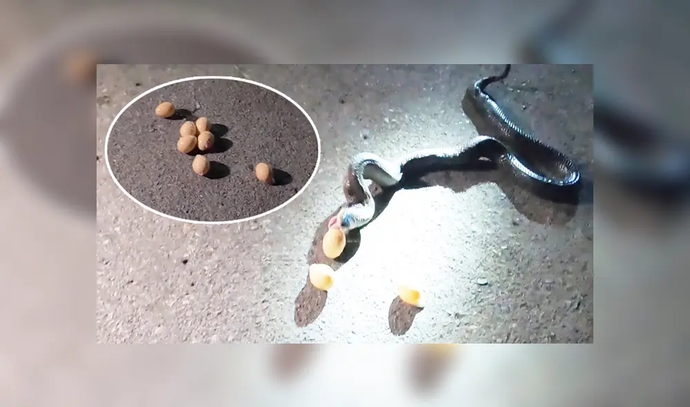 Desliza hacia la izquierda para ver las imágenes del viral de Facebook. Desliza hacia la izquierda para ver las imágenes del viral de Facebook.