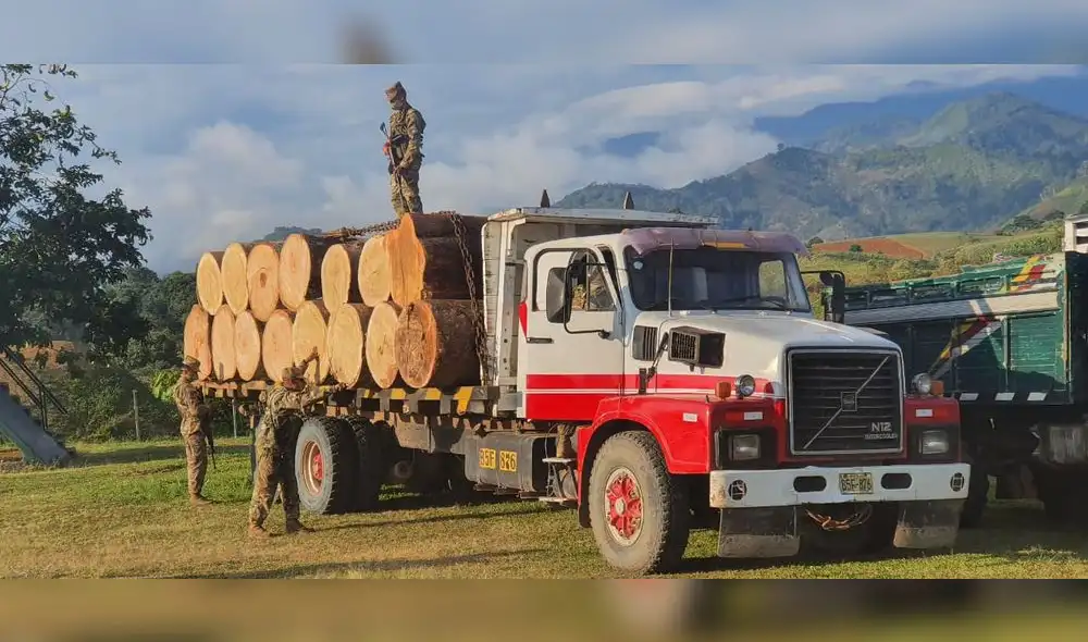 Decomisan madera ilegal en el Vraem | Créditos: difusión Decomisan madera ilegal en el Vraem | Créditos: difusión