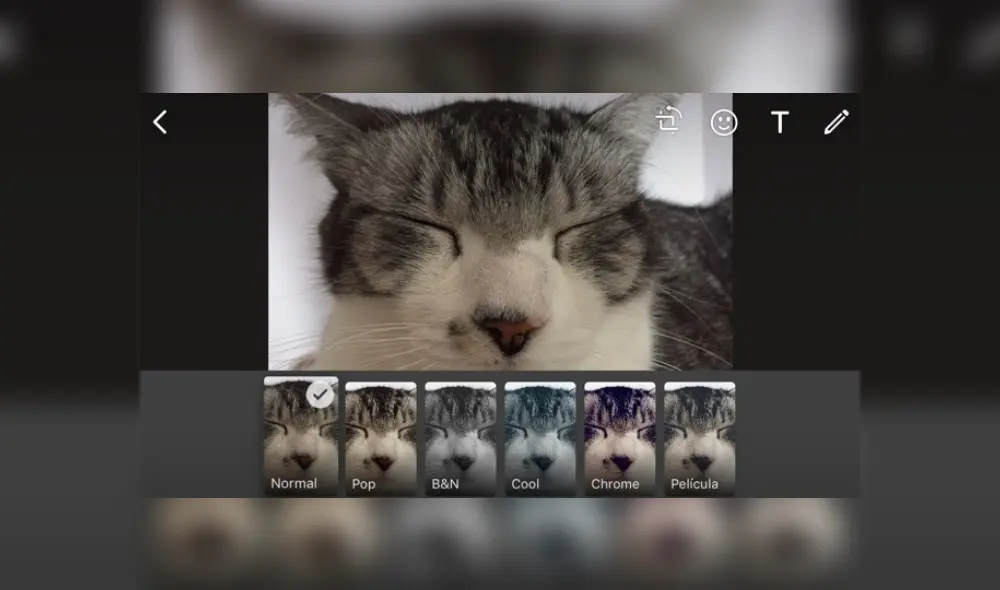 Aprende a usar los filtros. Imagen: Xataka. Aprende a usar los filtros. Imagen: Xataka.