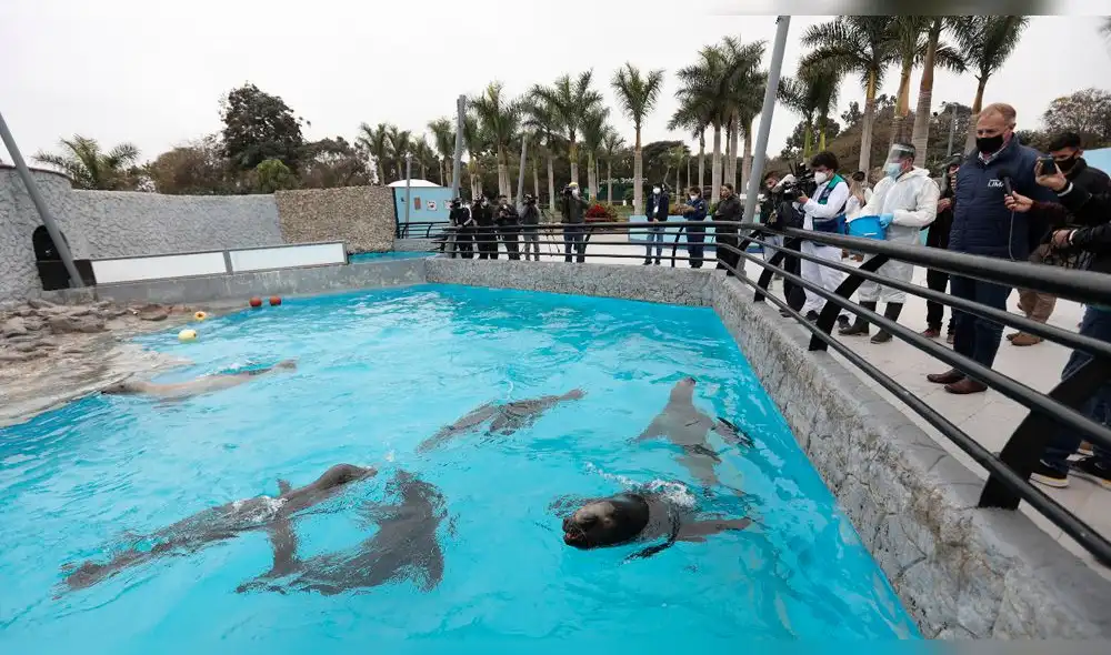 (Foto: Jorge Cerdán / La República) (Foto: Jorge Cerdán / La República)